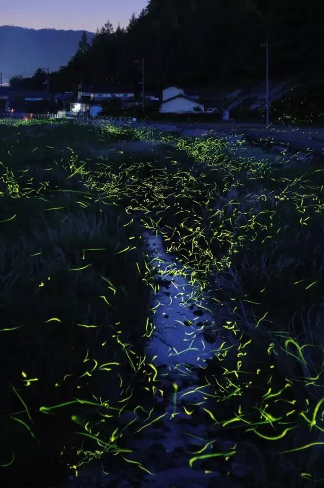 逆转糖尿病 可能需要减重手术