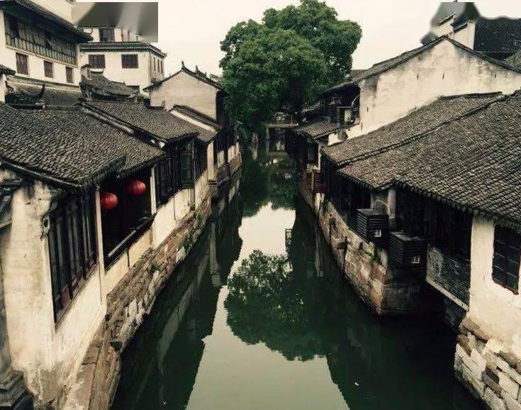 虫虫助手下载